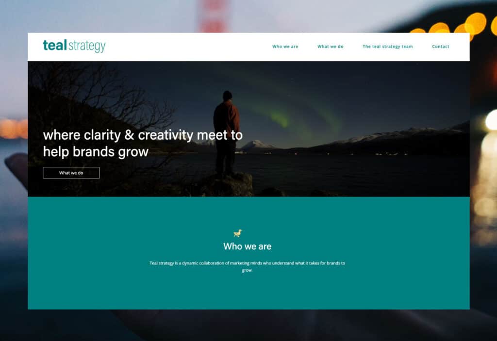 Plural Design - Website Design - Teal Strategy